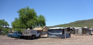Rancho San Francisco de la Sierra, BCS, Mexico