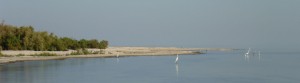 Salton Sea, shore line, CA