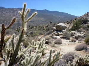 dessert toward Palm Springs, CA