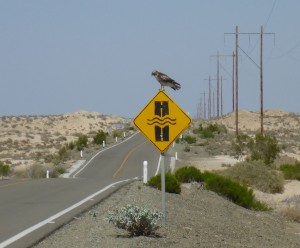 ups, this belongs to another story