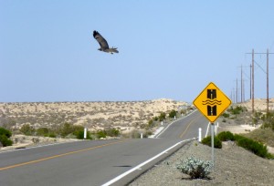 get out of here, you're to late