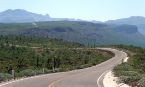 road to Rancho San Francisco, BCS, Mexico