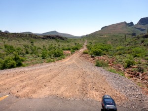should I, camino to San Francisco de la Sierra, BCS, Mexico