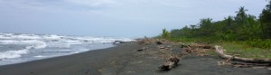 Caribian Coast, Costa Rica