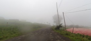 1700m altitude, fog, Vulcan Turrialba, Costa Rica