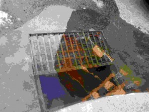 mucho cuidado, Panama City, Panama