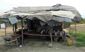 road side fish stand, Machala, Ecuador